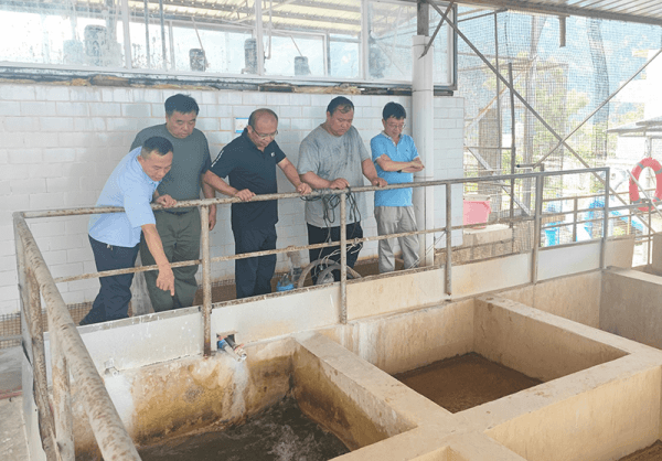 2023-11-20T06:45:53.png 2023-11-20T06:45:53.png