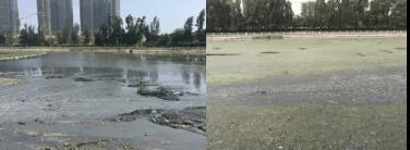 2023-11-02T07:11:12.png 2023-11-02T07:11:12.png