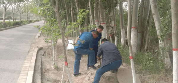 2023-11-13T09:51:05.png 2023-11-13T09:51:05.png