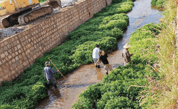 2023-11-16T07:40:43.png 2023-11-16T07:40:43.png