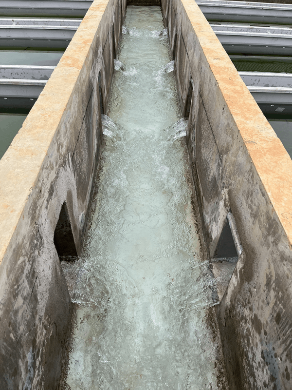 2023-11-09T02:48:43.png 2023-11-09T02:48:43.png