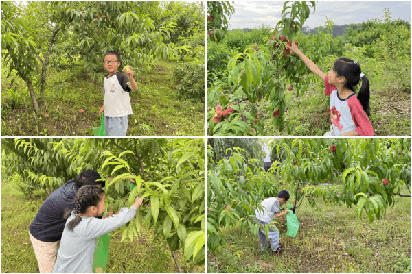 2023-11-15T07:39:47.png 2023-11-15T07:39:47.png