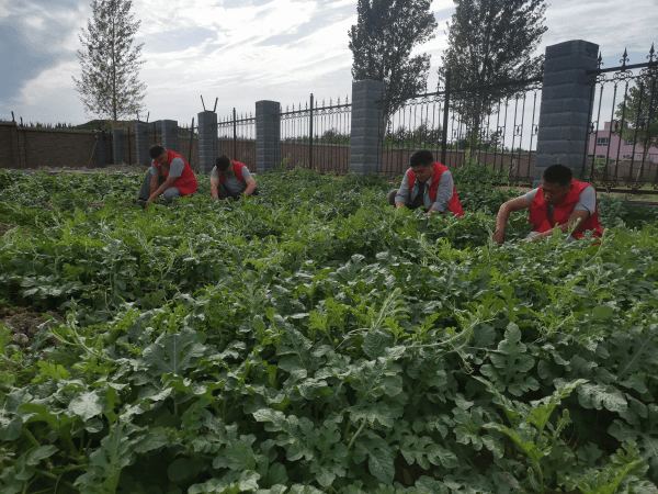 2023-11-17T09:50:44.png 2023-11-17T09:50:44.png