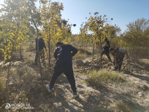 2023-11-10T01:50:51.png 2023-11-10T01:50:51.png