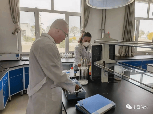 2023-11-15T07:37:10.png 2023-11-15T07:37:10.png