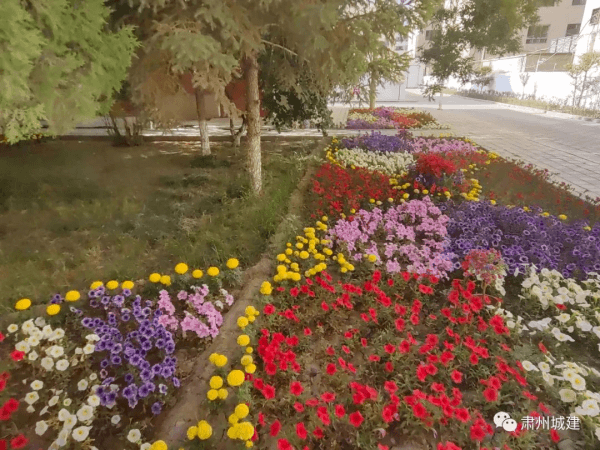 2023-11-14T09:51:43.png 2023-11-14T09:51:43.png