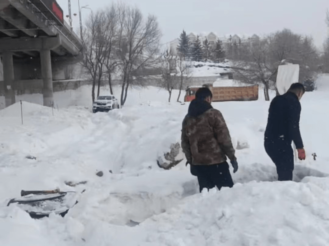 2023-11-20T08:18:16.png 2023-11-20T08:18:16.png