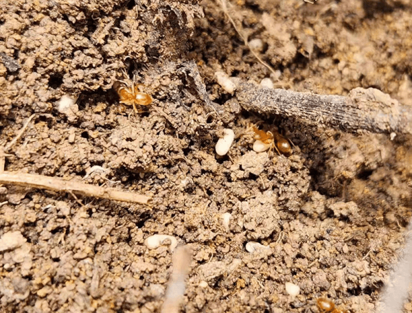 2023-11-17T08:40:15.png 2023-11-17T08:40:15.png