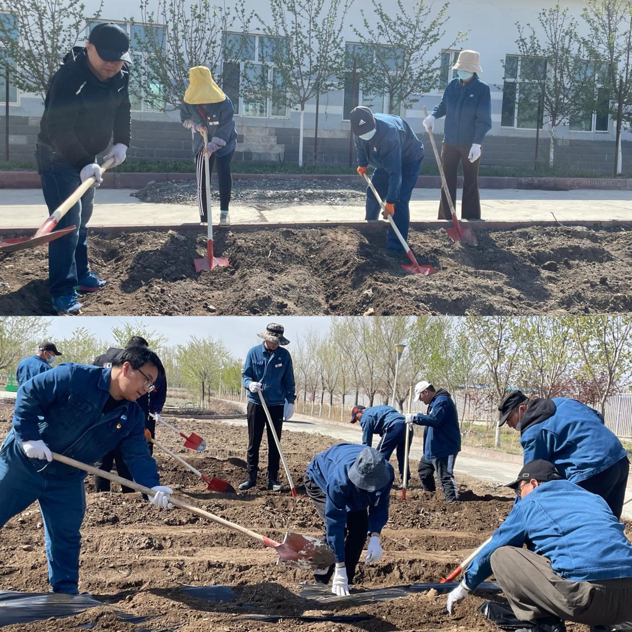 圖片1.jpg 圖片1.jpg