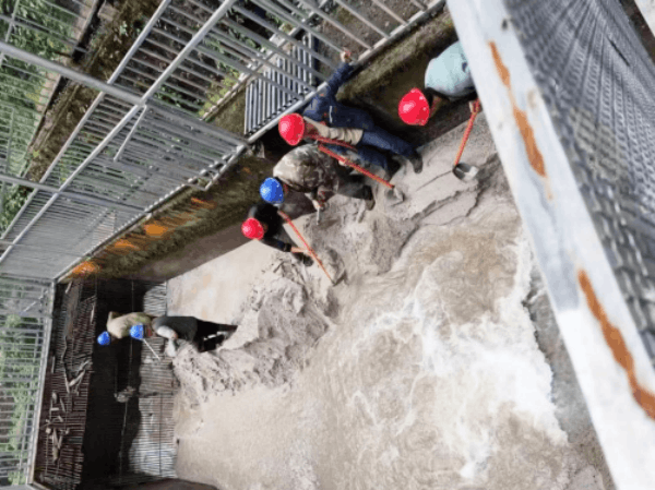 圖片 4.png 圖片 4.png