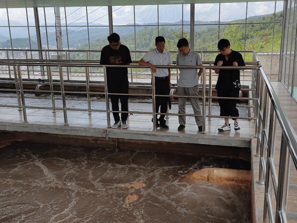 圖片 4.png 圖片 4.png