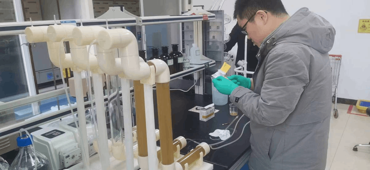 2024-09-09T02:19:06.png 2024-09-09T02:19:06.png