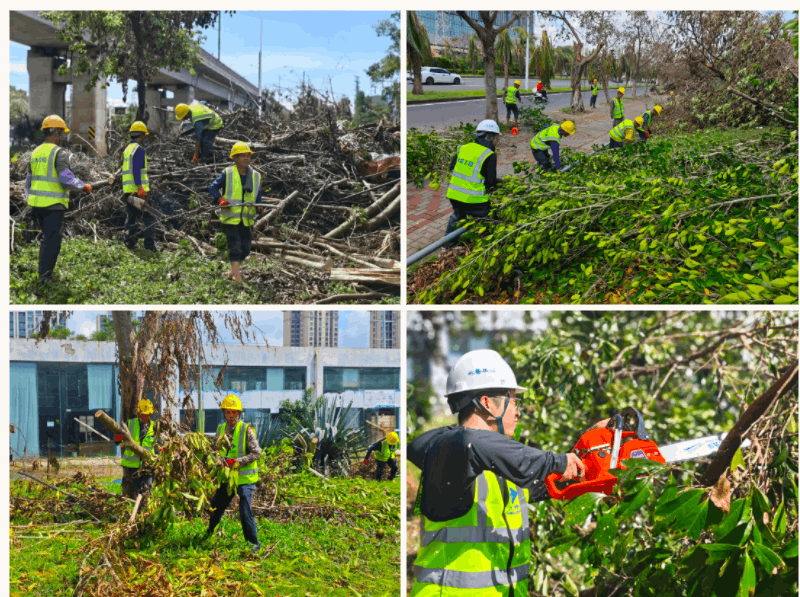 2024-10-25T02:48:27.png 2024-10-25T02:48:27.png