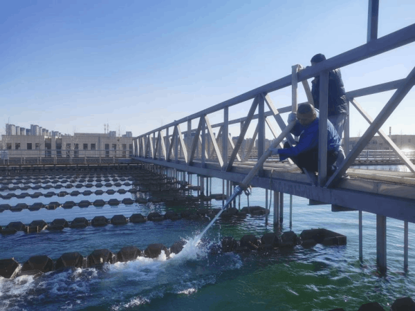 圖片 4.png 圖片 4.png