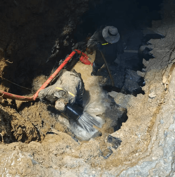 圖片 2.png 圖片 2.png