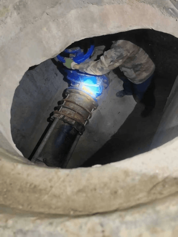 圖片 6.png 圖片 6.png