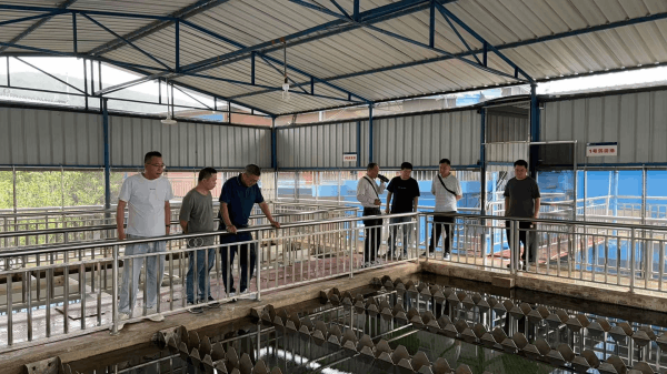 圖片 1.png 圖片 1.png