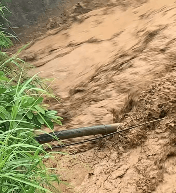 圖片 1.png 圖片 1.png