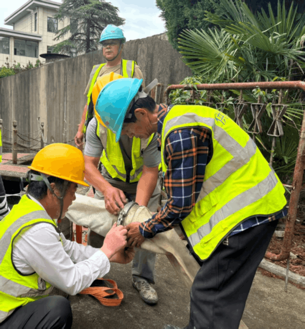 圖片 3.png 圖片 3.png