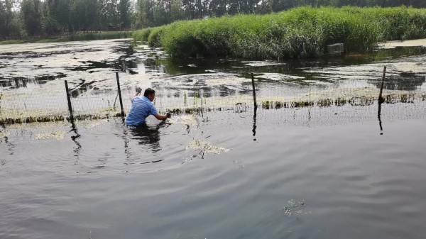 清理取水口1.jpg 清理取水口1.jpg