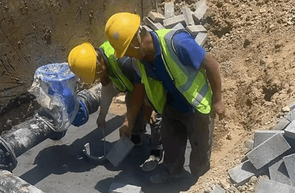 圖片 6.png 圖片 6.png