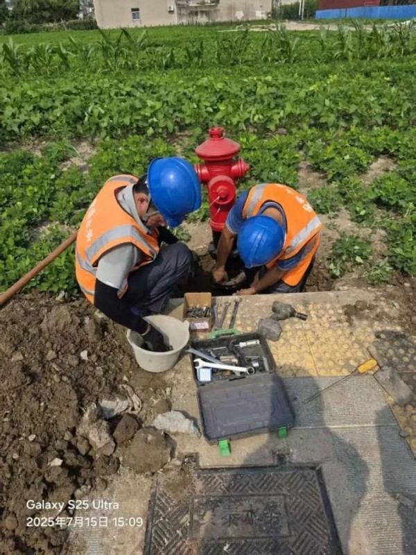 圖片 5.jpg 圖片 5.jpg