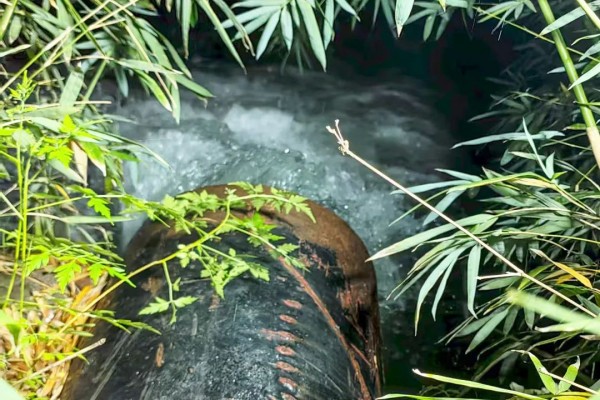 圖片 7.jpg 圖片 7.jpg