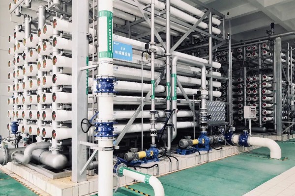 圖片 4.jpg 圖片 4.jpg