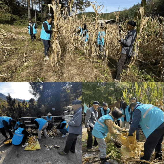 2025-09-26T07:59:45.png 2025-09-26T07:59:45.png