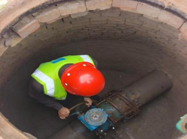 圖片 2.jpg 圖片 2.jpg