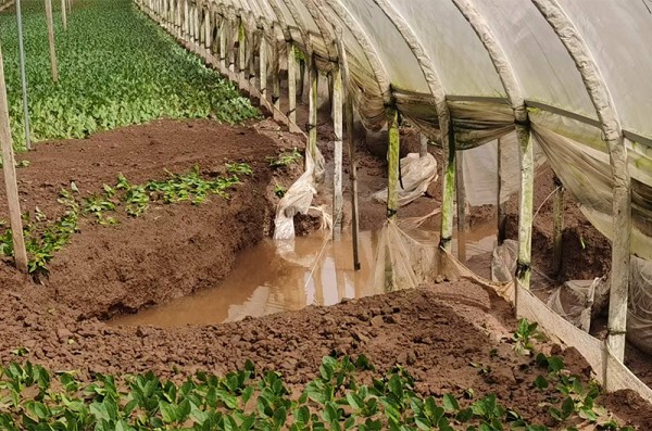 圖片 1.jpg 圖片 1.jpg