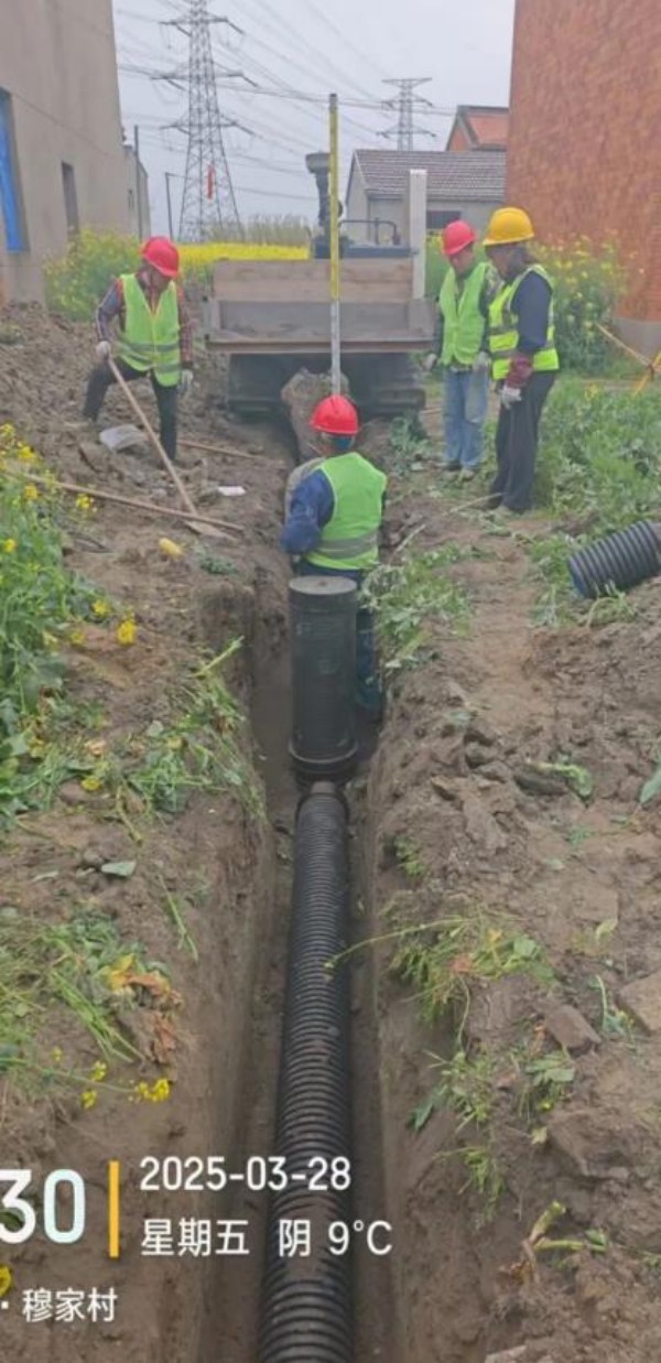 圖片 3.jpg 圖片 3.jpg