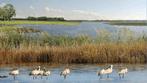 圖片 3.png 圖片 3.png