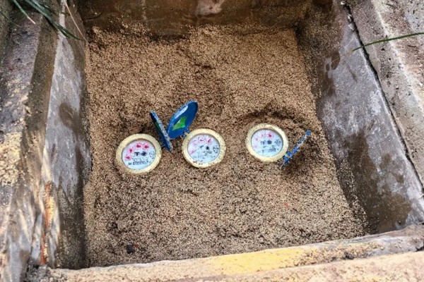 圖片 2.jpg 圖片 2.jpg