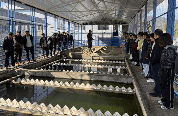 圖片 1.png 圖片 1.png