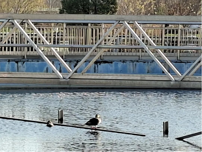 2026-01-30T12:23:47.png 2026-01-30T12:23:47.png