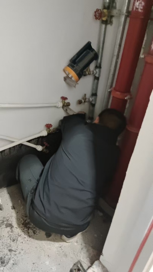 圖片 7.jpg 圖片 7.jpg